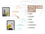 Cleaning Services Social Media Templates: Boost Your Business Online! - Image 3