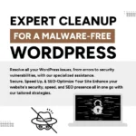 Professional WordPress Website Troubleshooting and Problem Solving