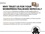 Expert WordPress Maintenance and Malware Removal Services - Image 4